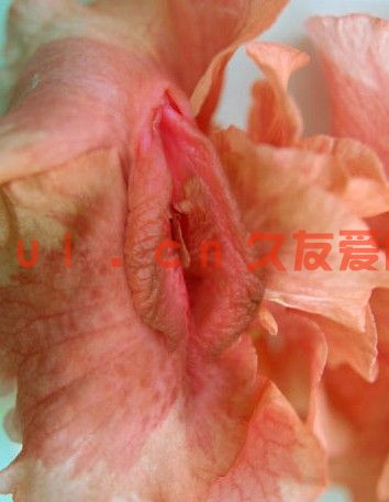 让私处变粉嫩就是这么简单，女生必看！