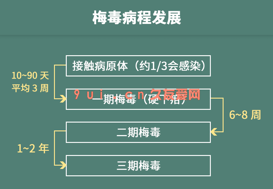 在公共马桶如厕会不会被穿上梅毒？这3种常见行为，一文帮你解惑