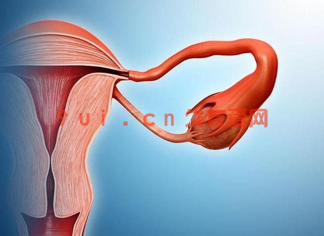 宫颈糜烂别只怪性生活,这些也都是原因！